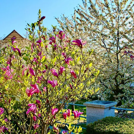 Guest house Kurhausblick 4*