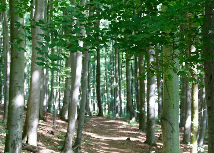 Gasthof Kurhausblick Bad Suderode