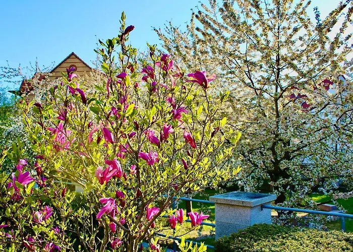 Casa de hóspedes Kurhausblick 4*